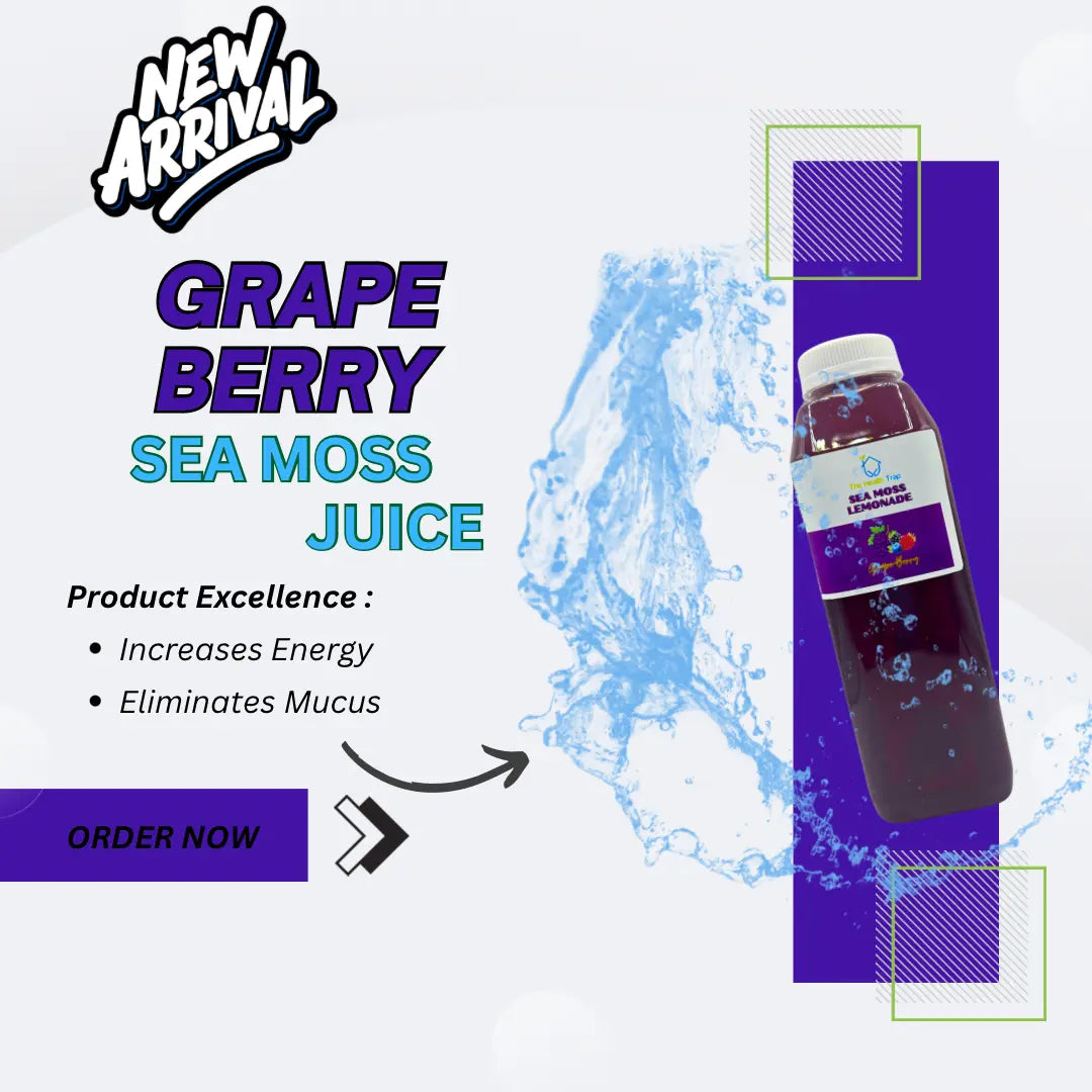 Variety Bundle Sea Moss Juice - 4 Pack The Health Trap