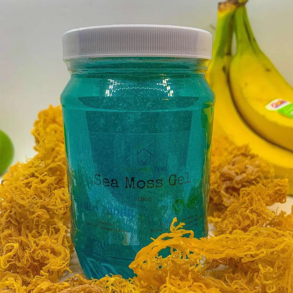 16 oz Fruit Infused Sea Moss Gel - The Health Trap