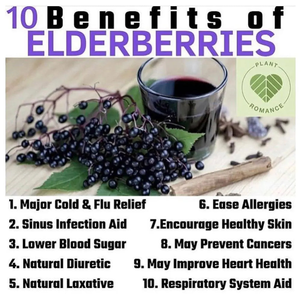 Elderberry Syrup - 8 oz - The Health Trap