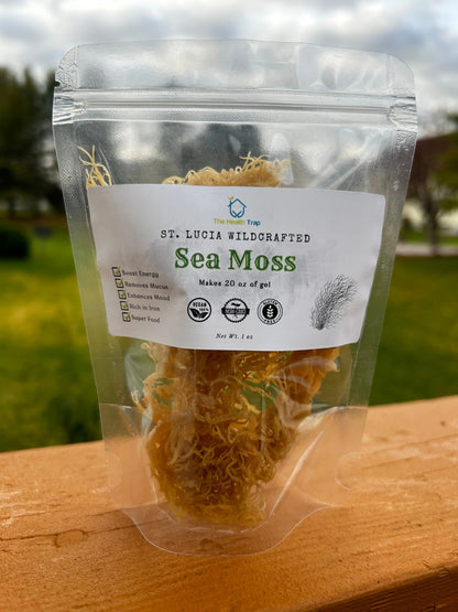 St Lucia Gold Raw Sea Moss, Organic Wildcrafted Sea Moss