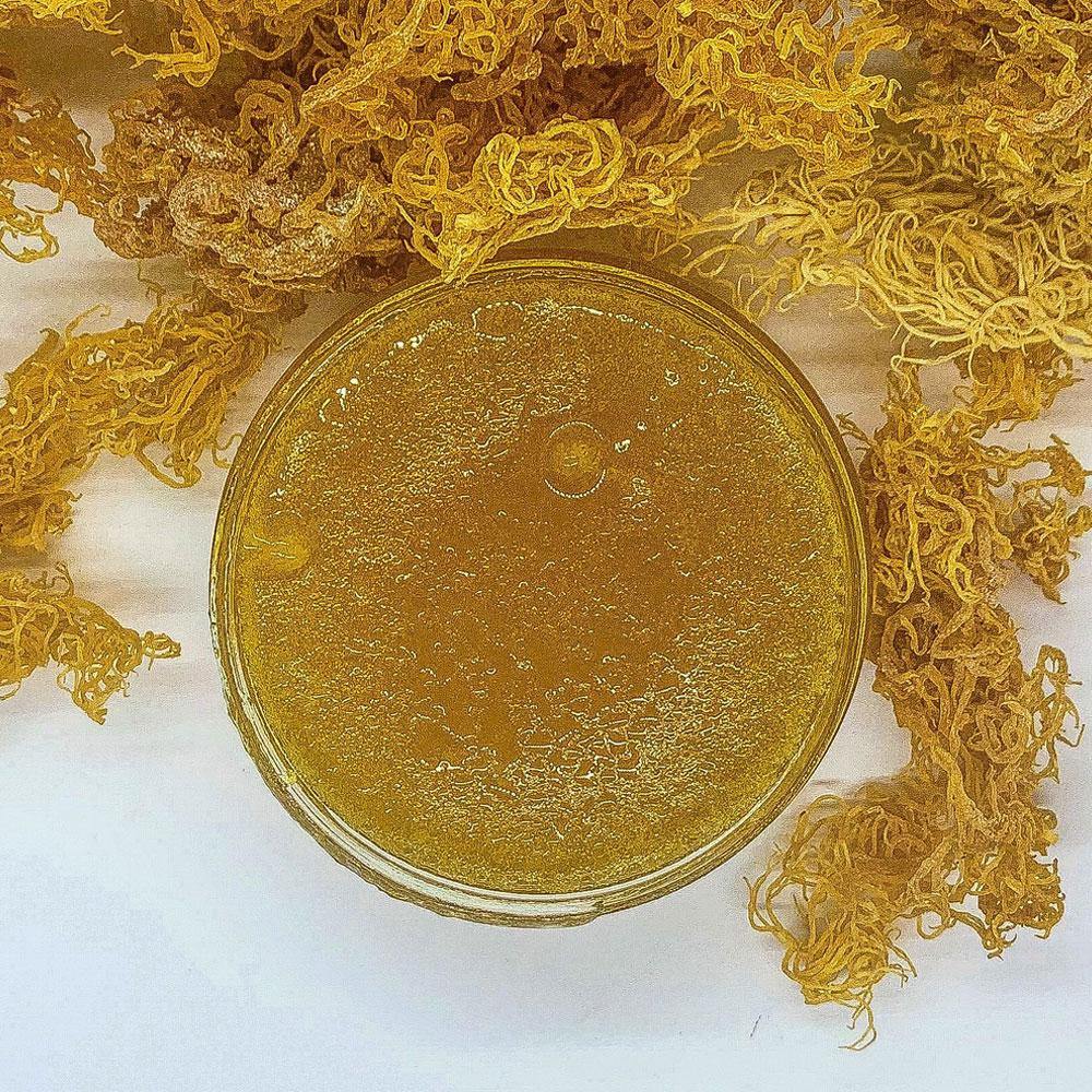 Sea Moss Face Mask - 8 oz - The Health Trap