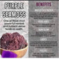 Sea Moss Gel (Purple) - The Health Trap