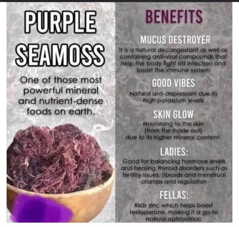 Sea Moss Gel (Purple) - The Health Trap