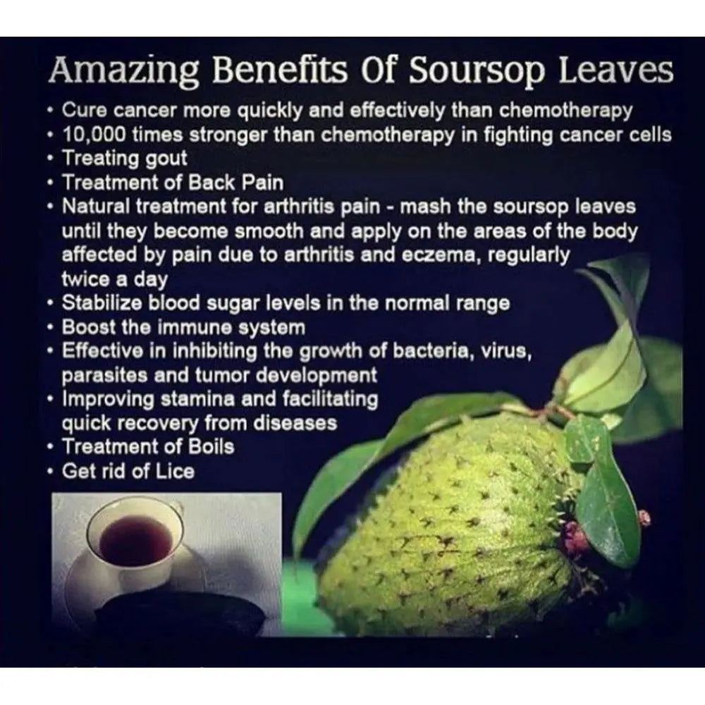 SourSop Herbal Tea - 16 oz - The Health Trap