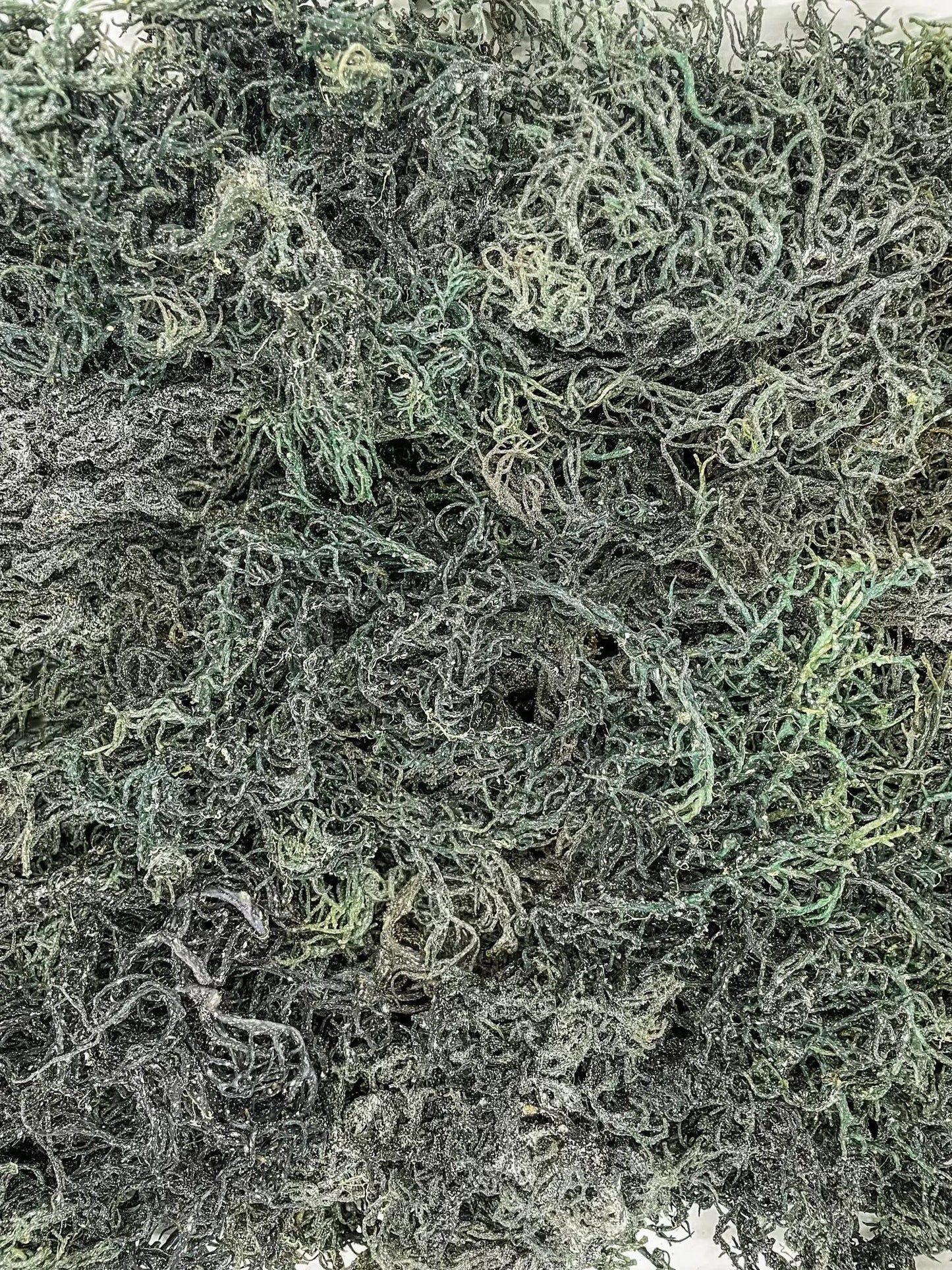 St. Lucia Raw Sea Moss (Green) - The Health Trap